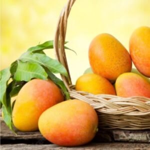 Fresh Mangoes
